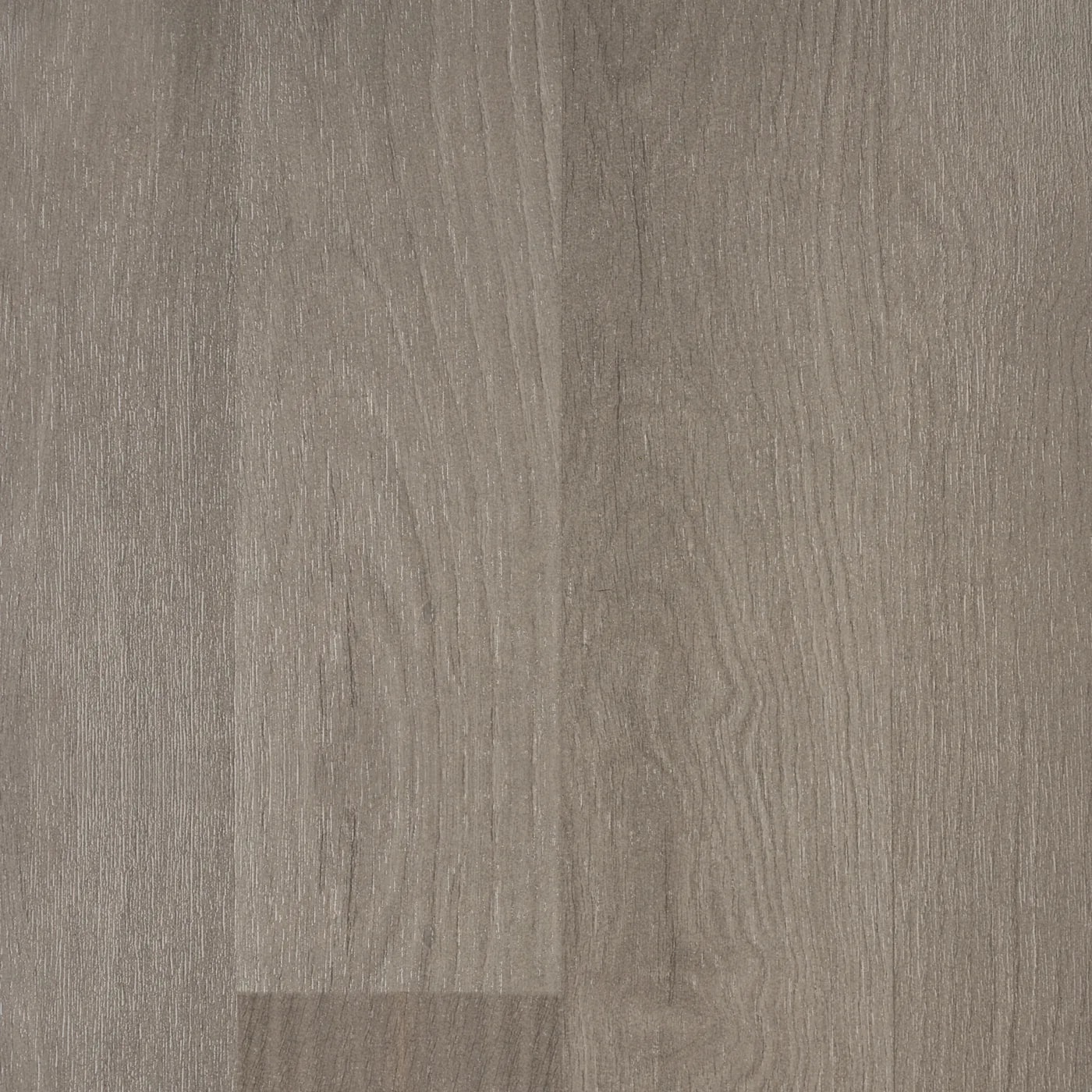 Parkat 605 Holm Oak