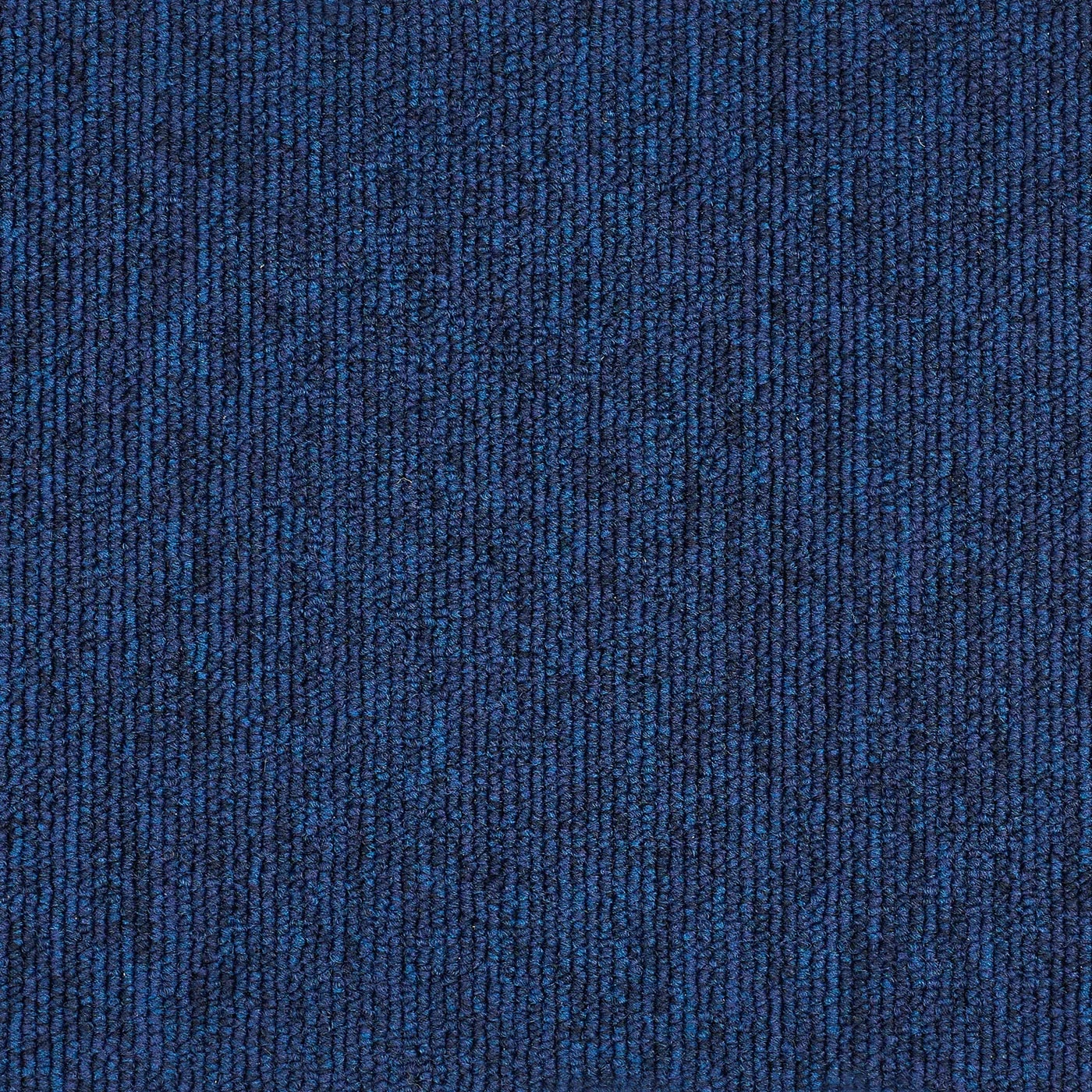 CARUS – MOSS 887